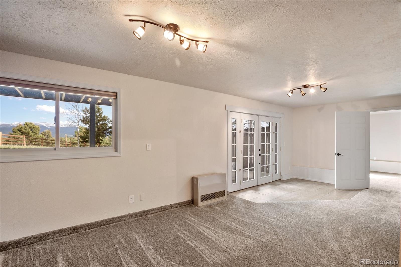 45 Barr Lake Circle Divide CO 80814
