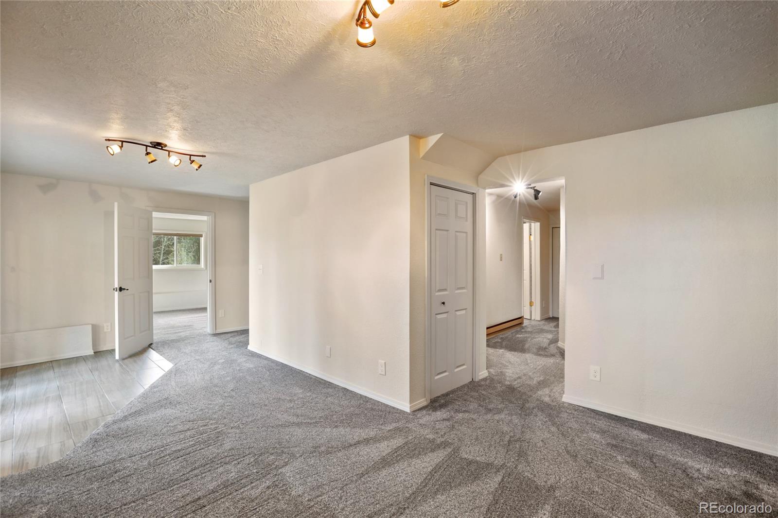 45 Barr Lake Circle Divide CO 80814