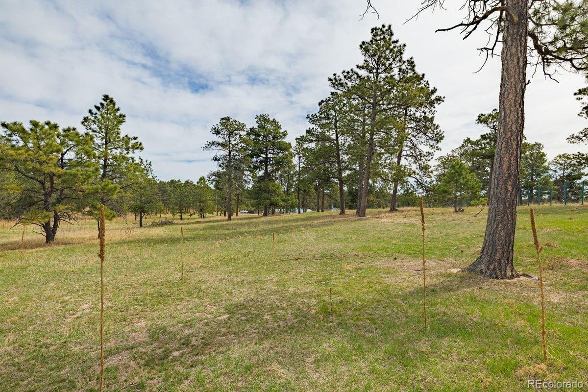 13354 N Meridian Road Elbert CO 80106
