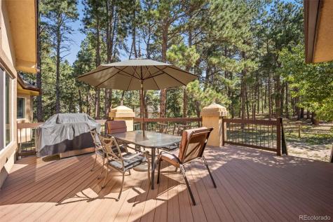 18525 Glenthorne Lane Monument CO 80132