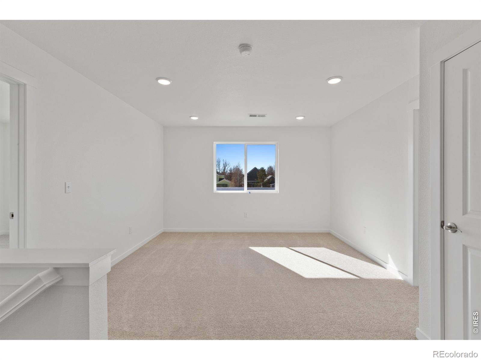 1448 Boyle Street Windsor CO 80550
