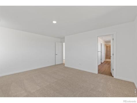 1448 Boyle Street Windsor CO 80550