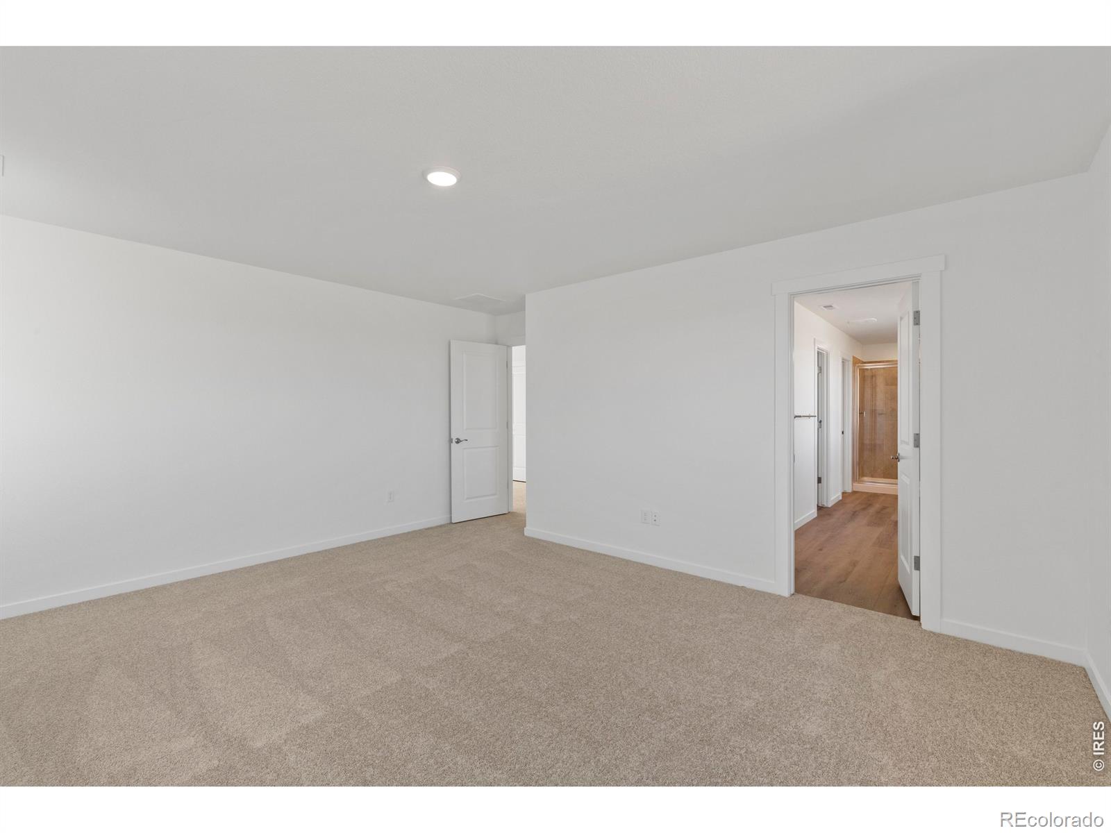 1448 Boyle Street Windsor CO 80550