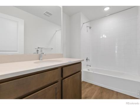 1448 Boyle Street Windsor CO 80550