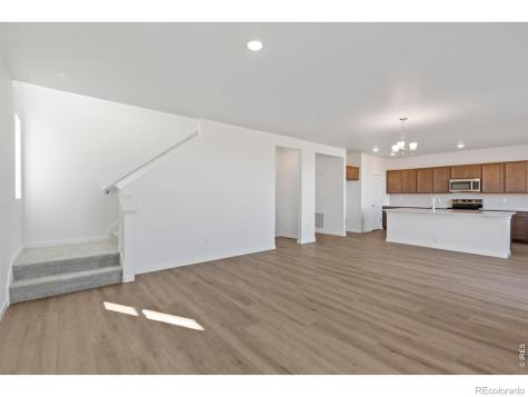 1448 Boyle Street Windsor CO 80550