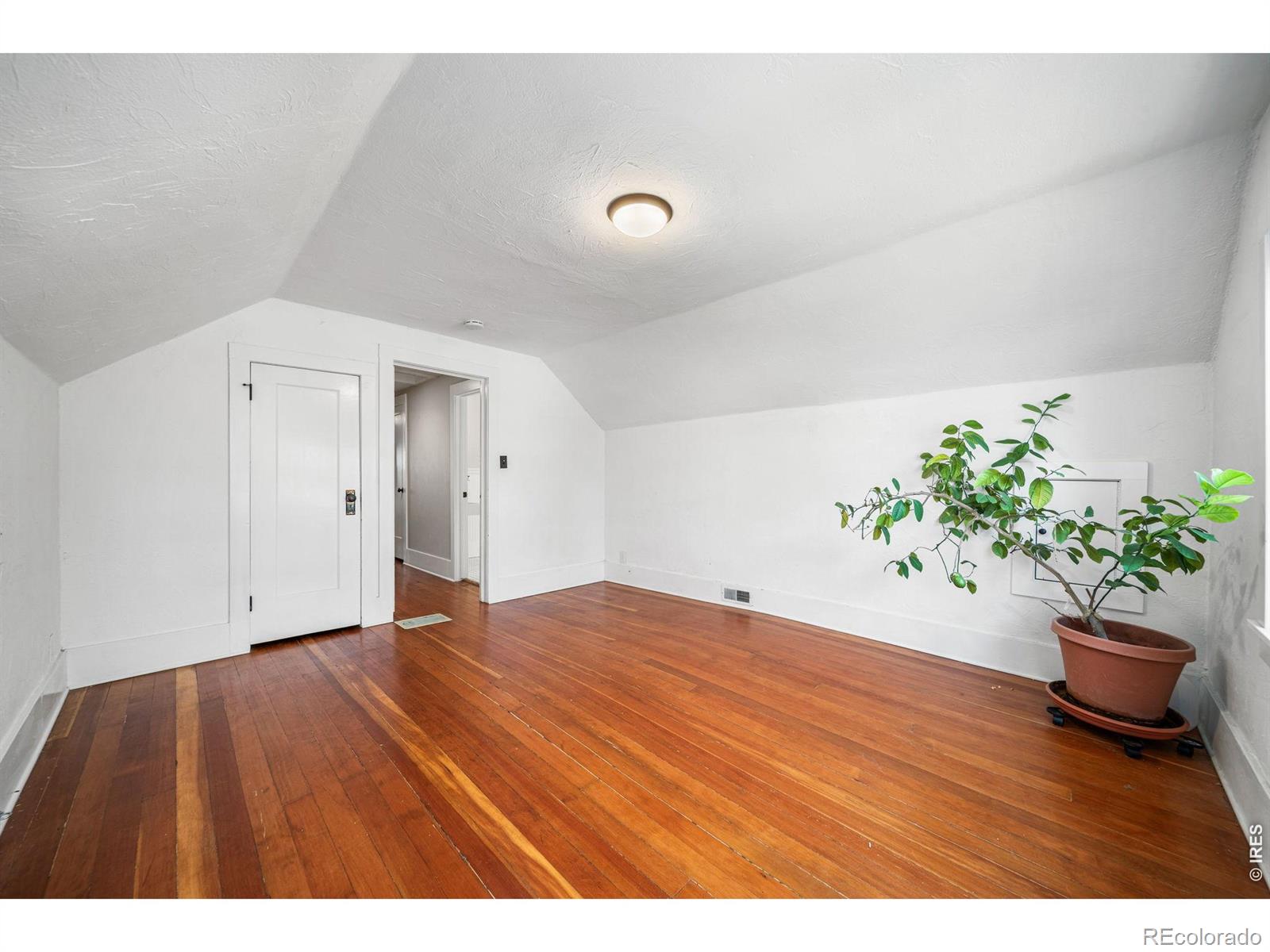 439 42nd Street SW Loveland CO 80537