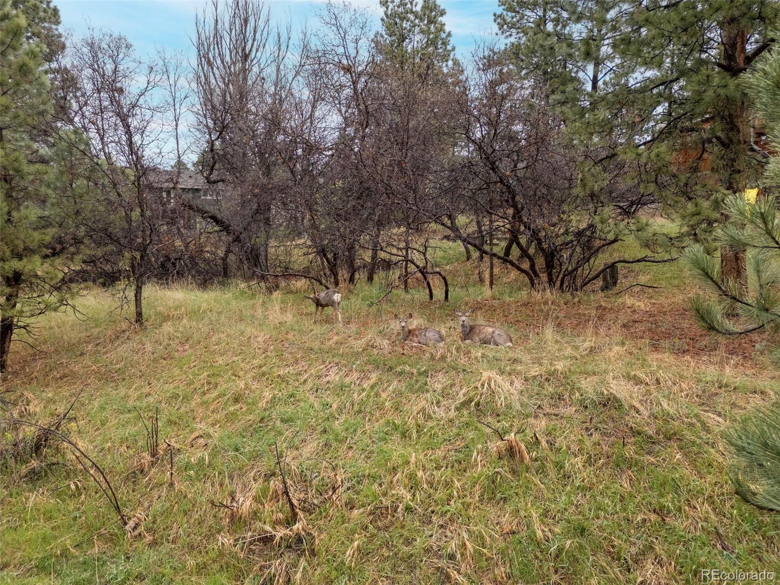6154 N Beckwourth Court Parker CO 80134