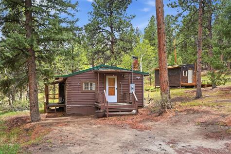 14032 S Olive Avenue Pine CO 80470
