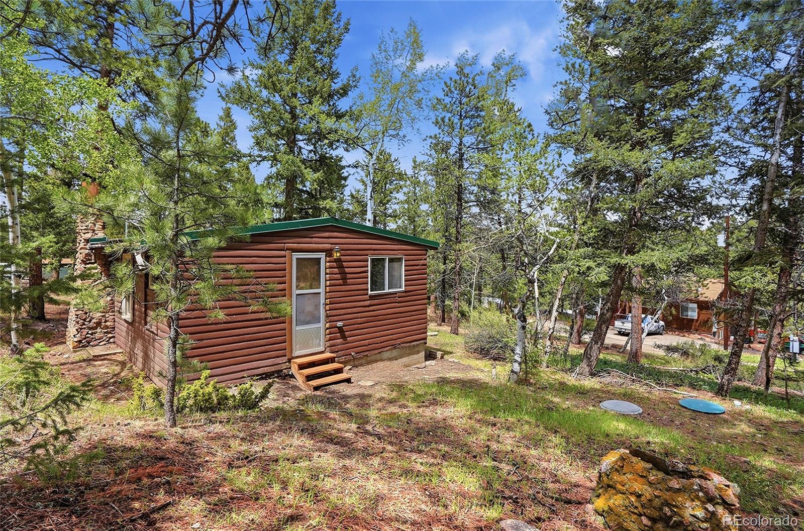 14032 S Olive Avenue Pine CO 80470