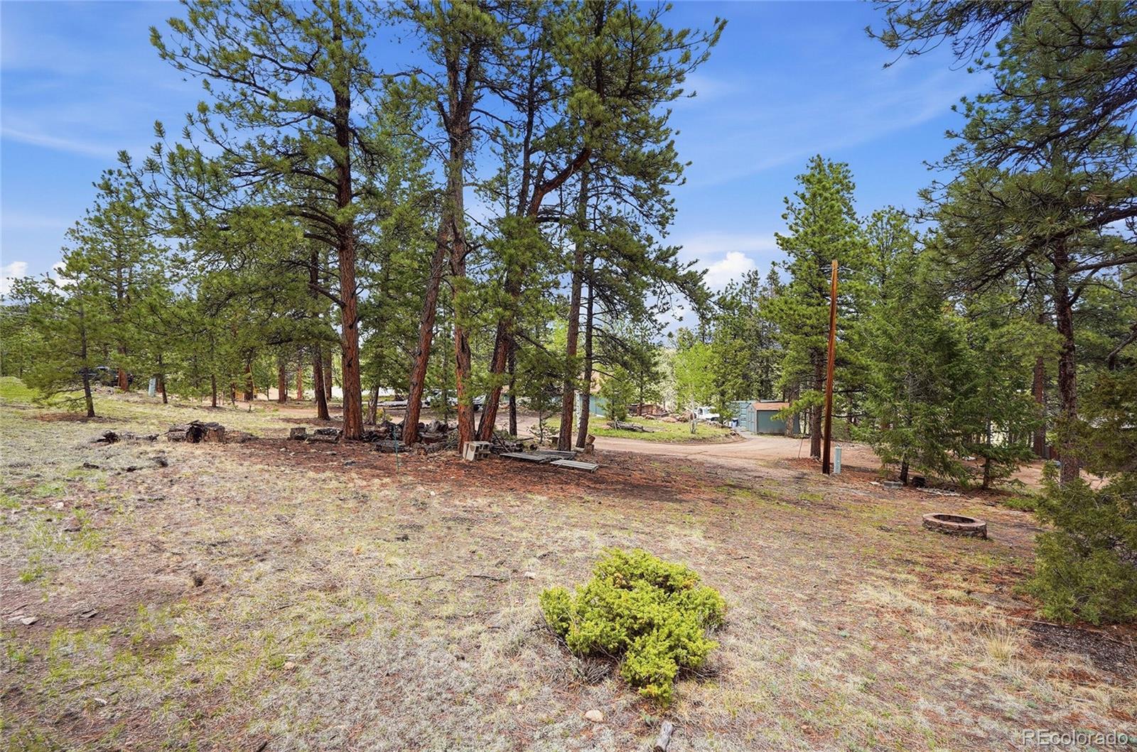 14032 S Olive Avenue Pine CO 80470