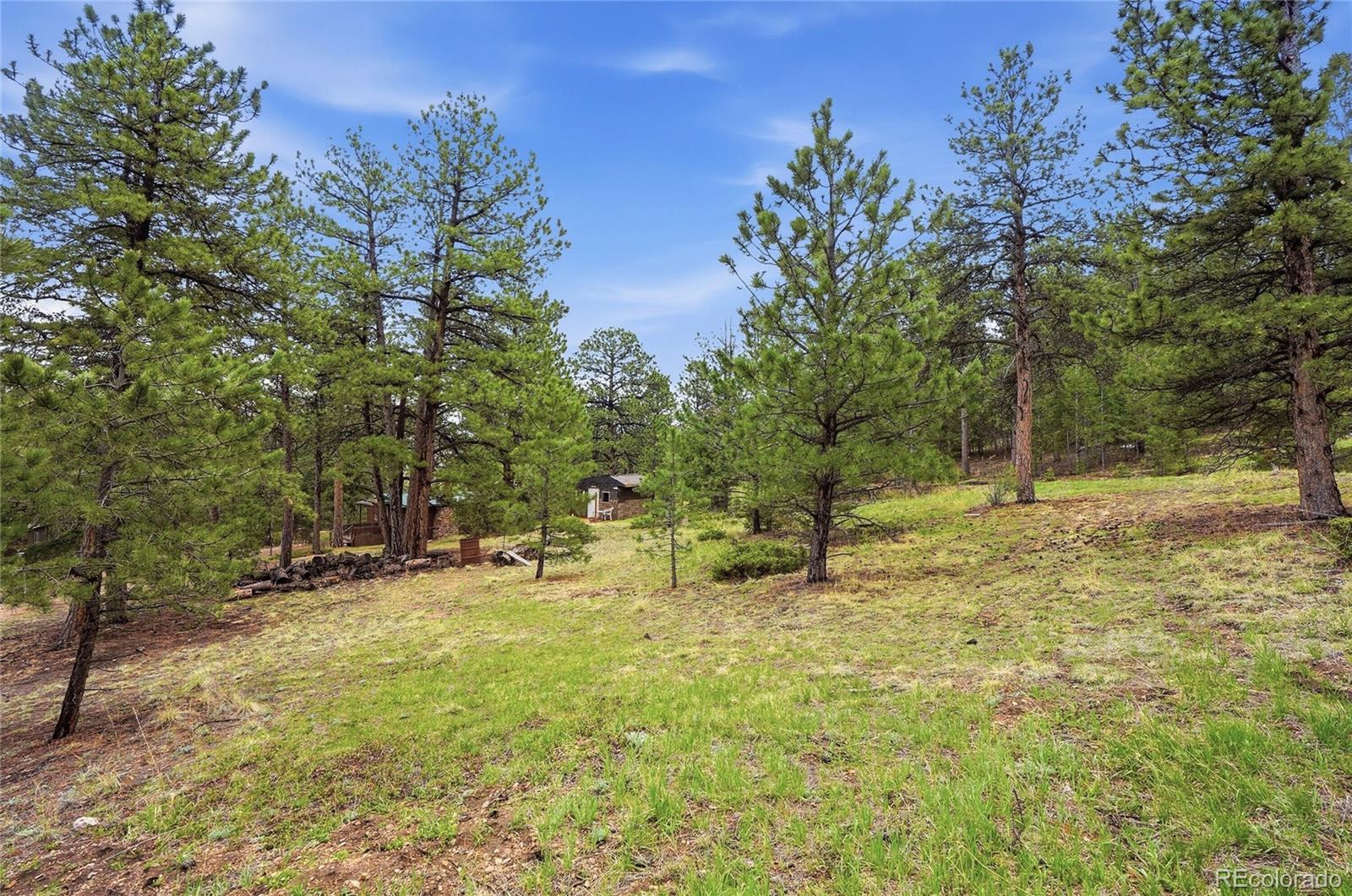 14032 S Olive Avenue Pine CO 80470