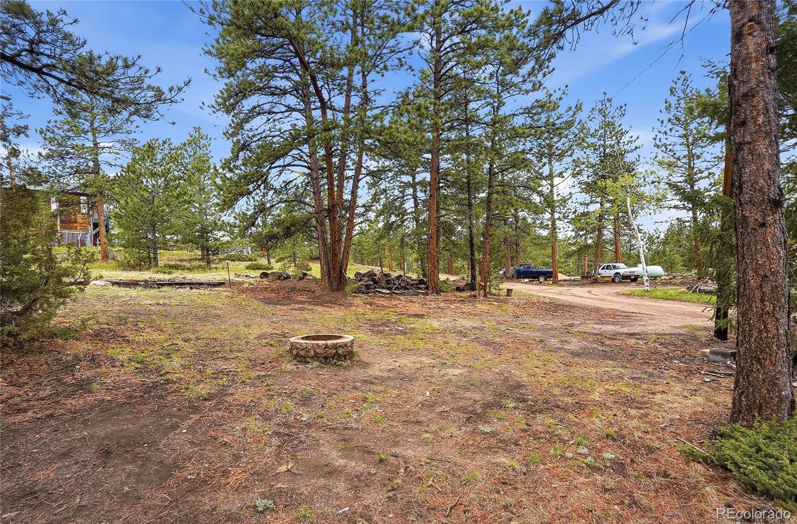 14032 S Olive Avenue Pine CO 80470