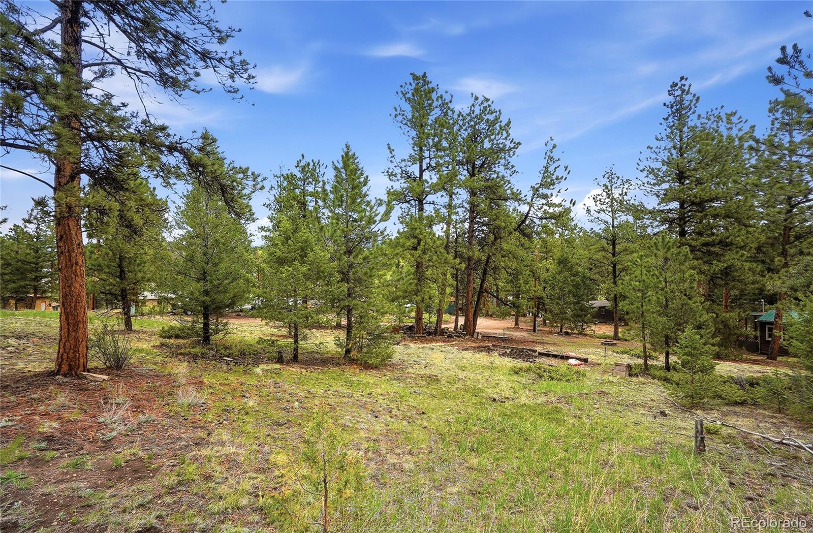 14032 S Olive Avenue Pine CO 80470