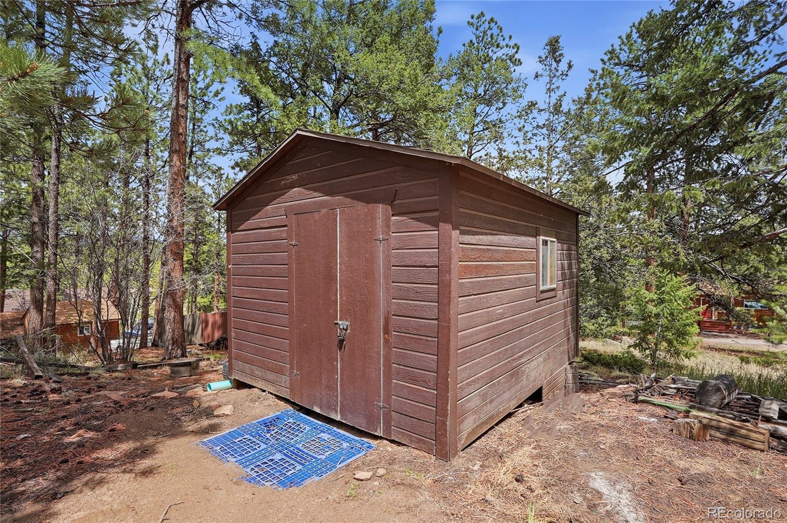 14032 S Olive Avenue Pine CO 80470