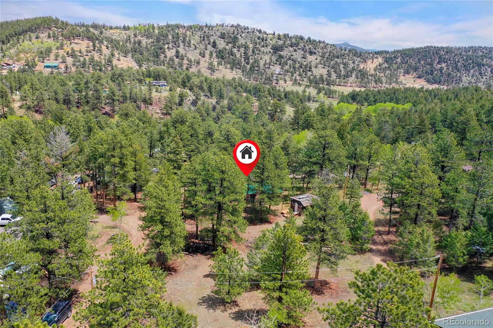 14032 S Olive Avenue Pine CO 80470