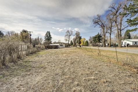 125 N Pleasant Avenue Buena Vista CO 81211