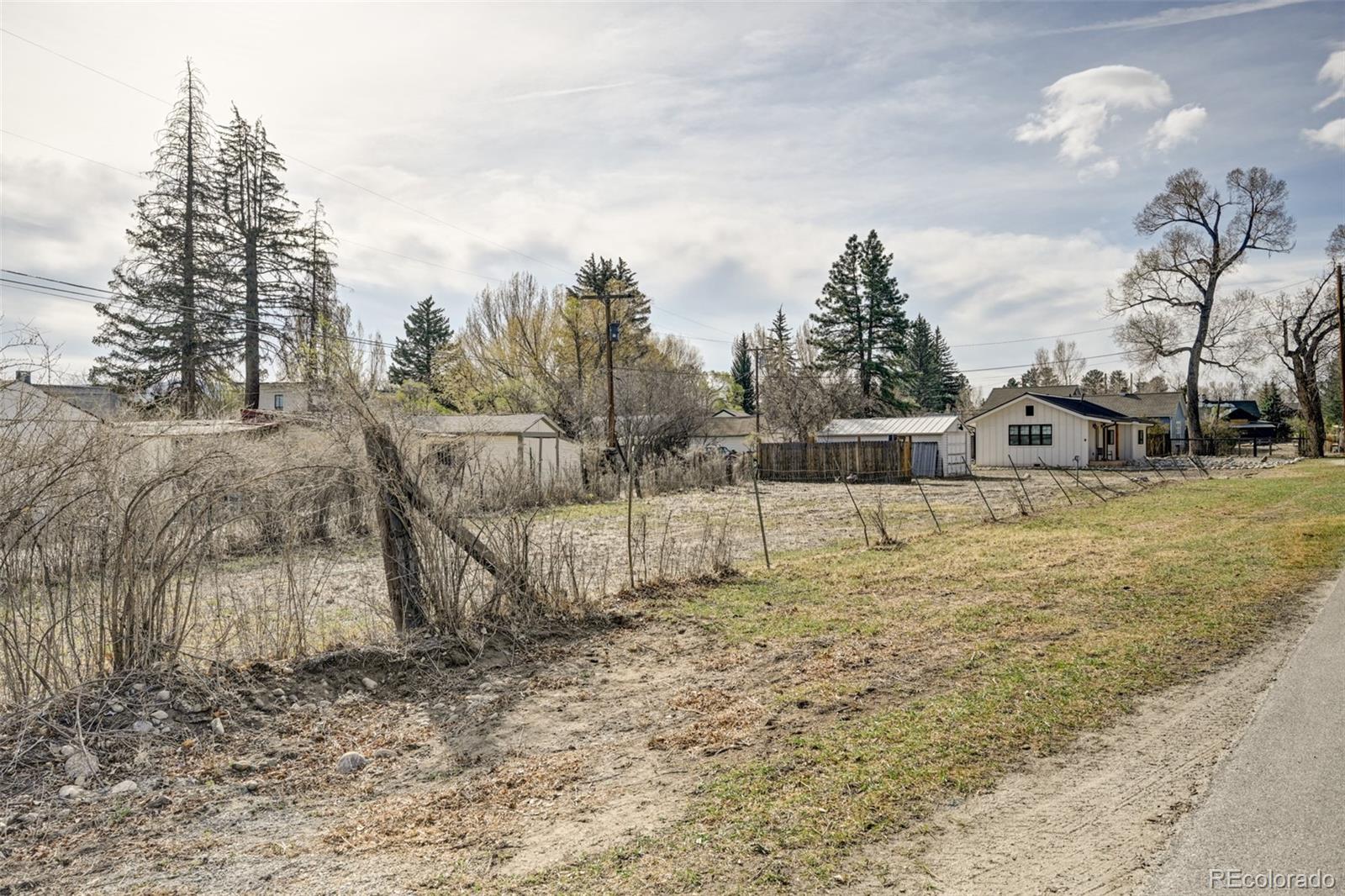 125 N Pleasant Avenue Buena Vista CO 81211