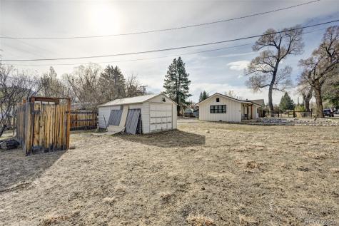 125 N Pleasant Avenue Buena Vista CO 81211