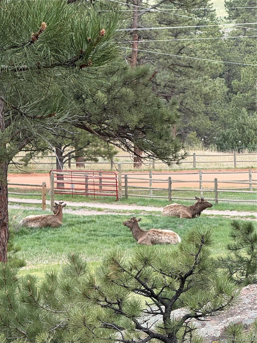 1715 Spring Gulch Drive Lyons CO 80540