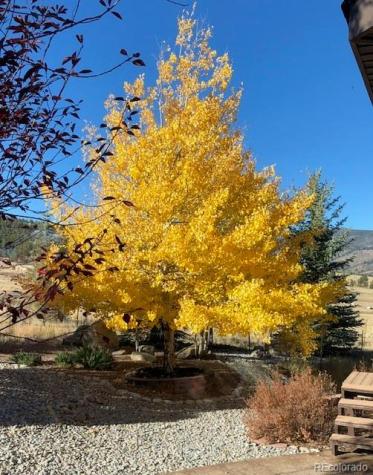 18311 Wagon Trail Buena Vista CO 81211