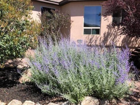 18311 Wagon Trail Buena Vista CO 81211