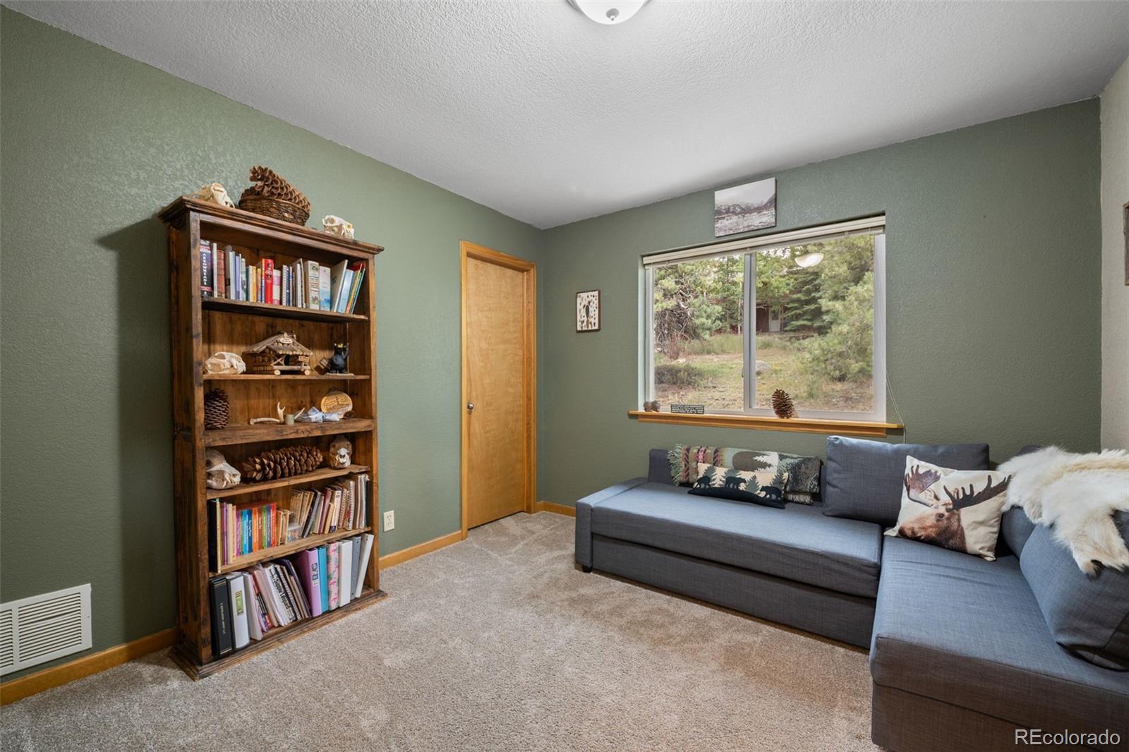 176 Fawn Road Bailey CO 80421
