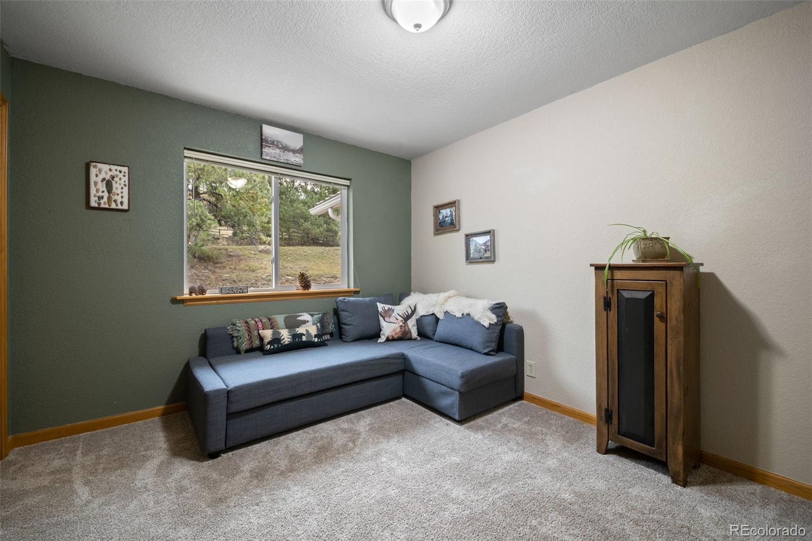 176 Fawn Road Bailey CO 80421