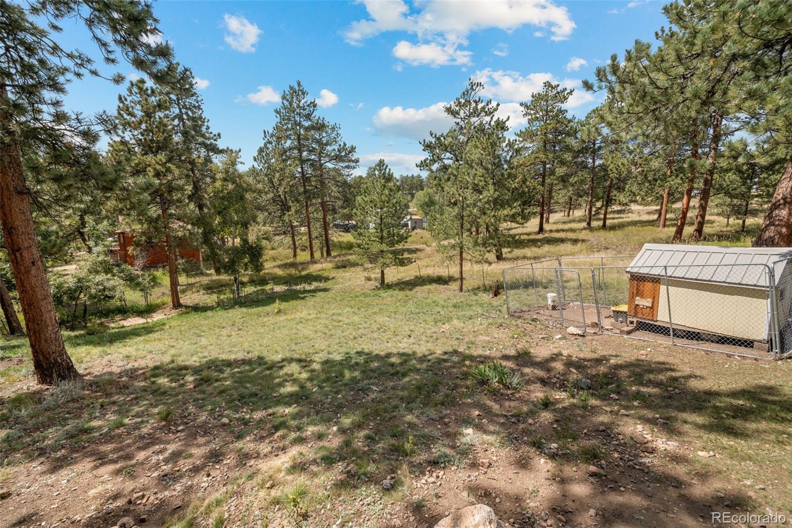 176 Fawn Road Bailey CO 80421