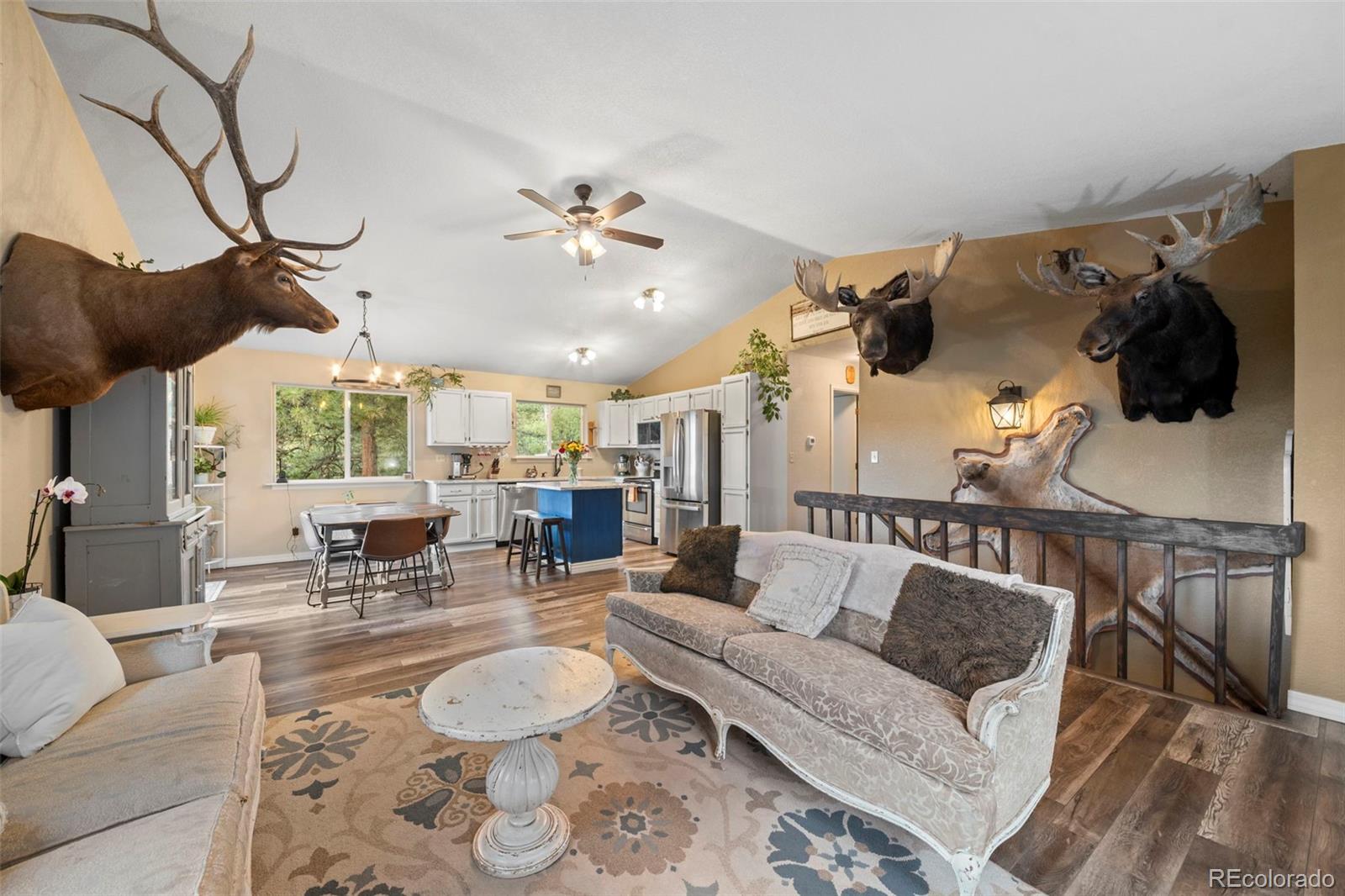 176 Fawn Road Bailey CO 80421