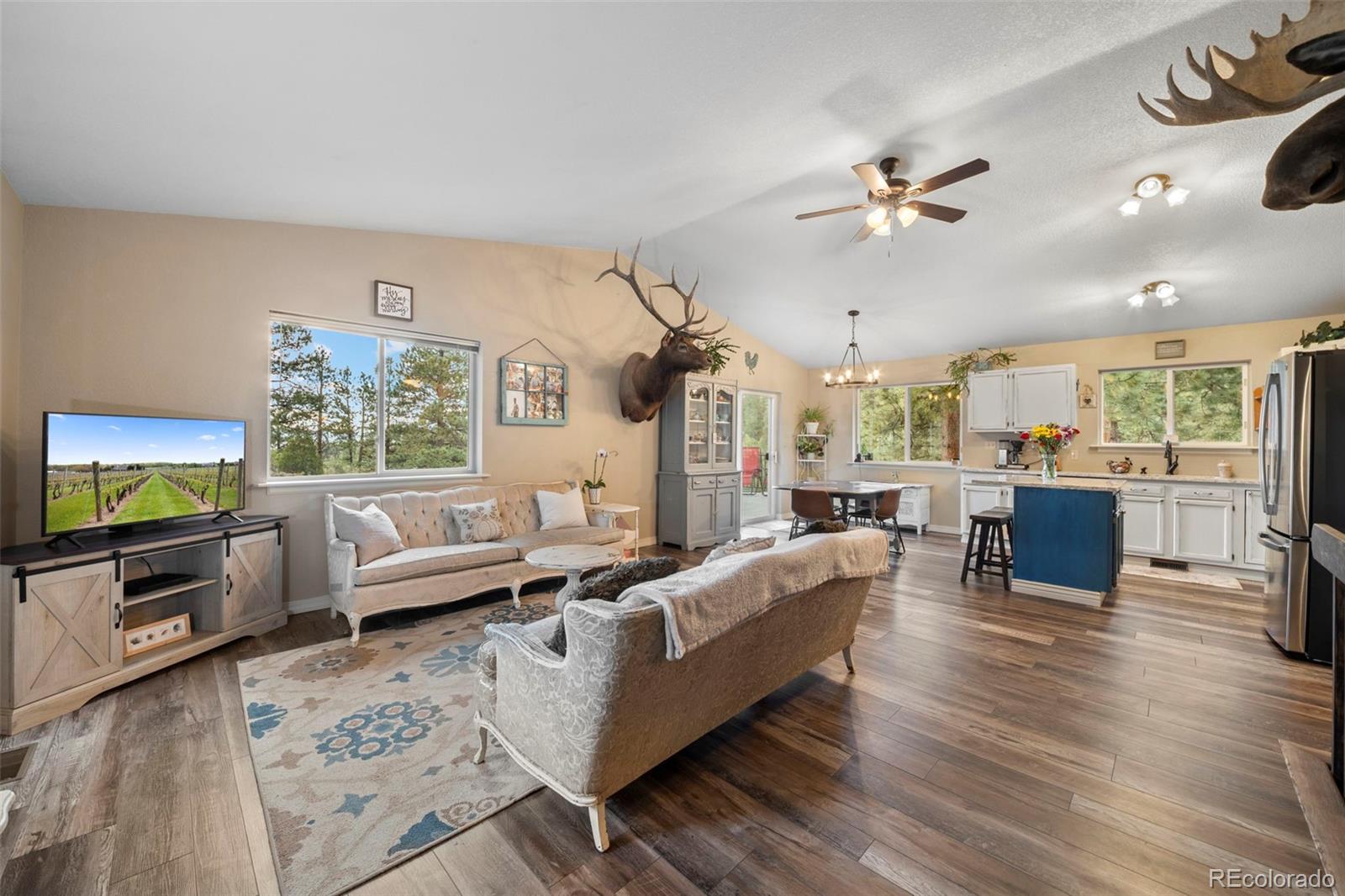 176 Fawn Road Bailey CO 80421