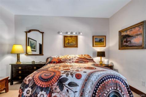 43 Clover Court Fairplay CO 80440