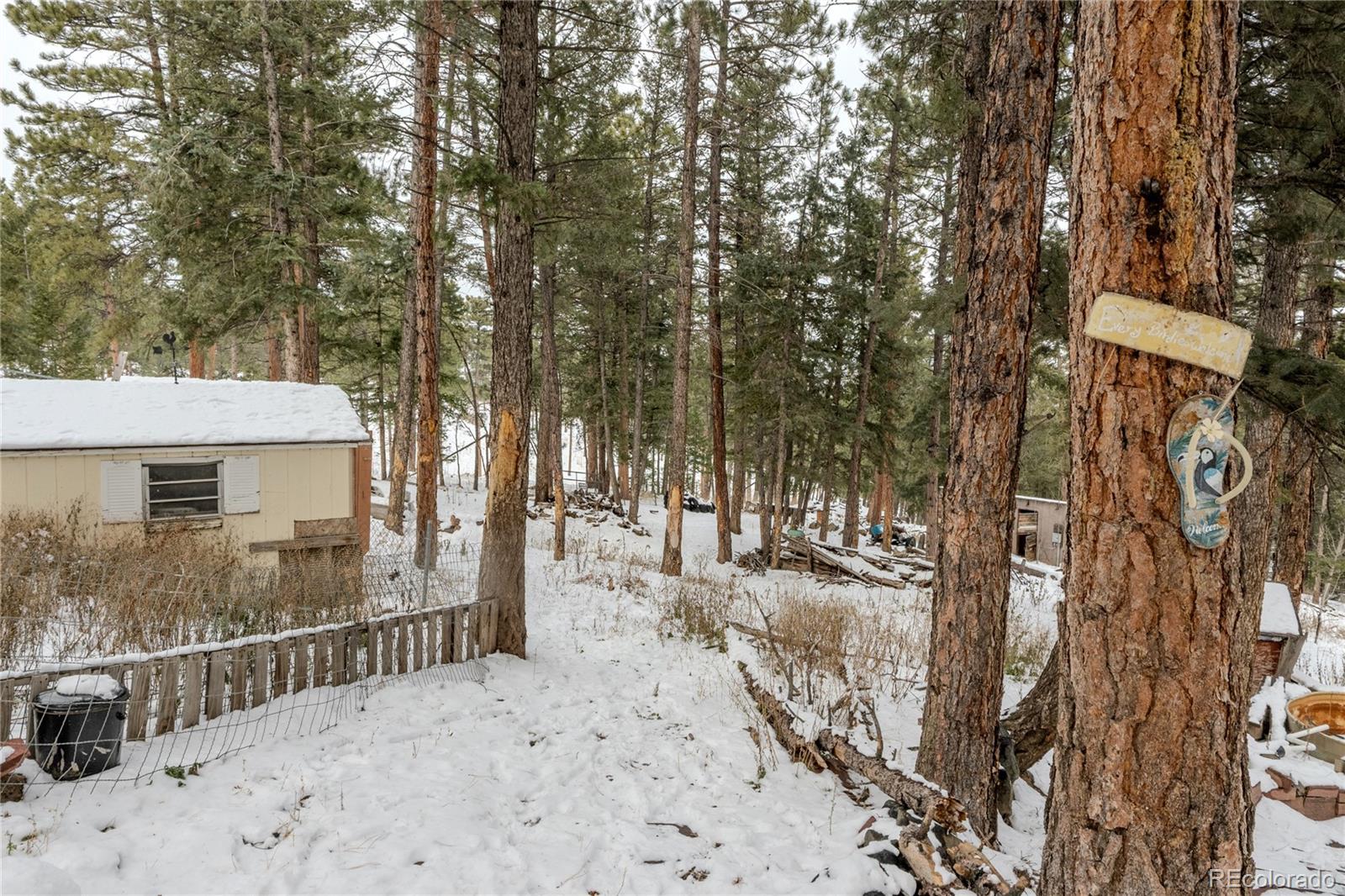 983 Wagon Trail Road Evergreen CO 80439