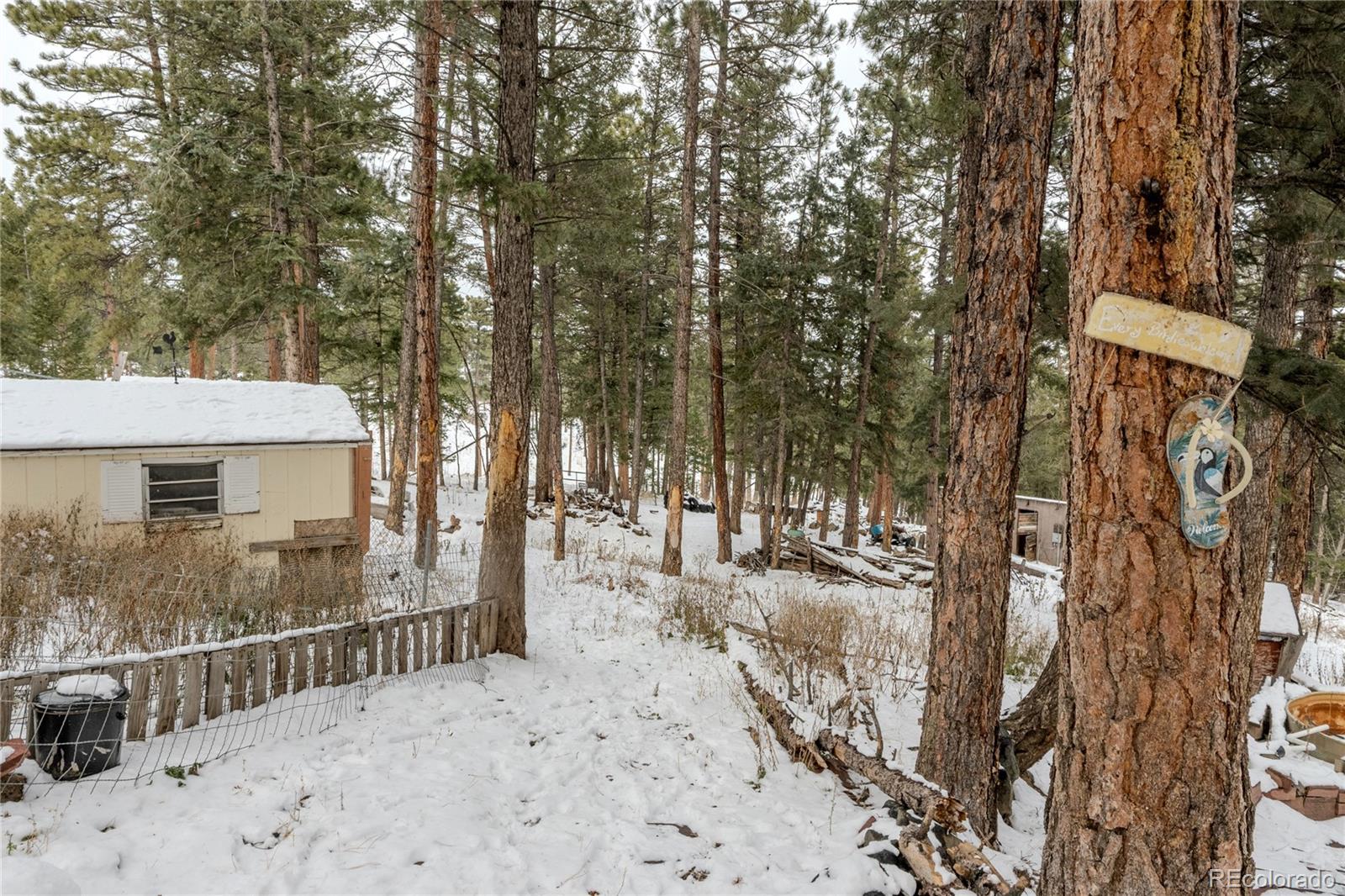 983 Wagon Trail Road Evergreen CO 80439