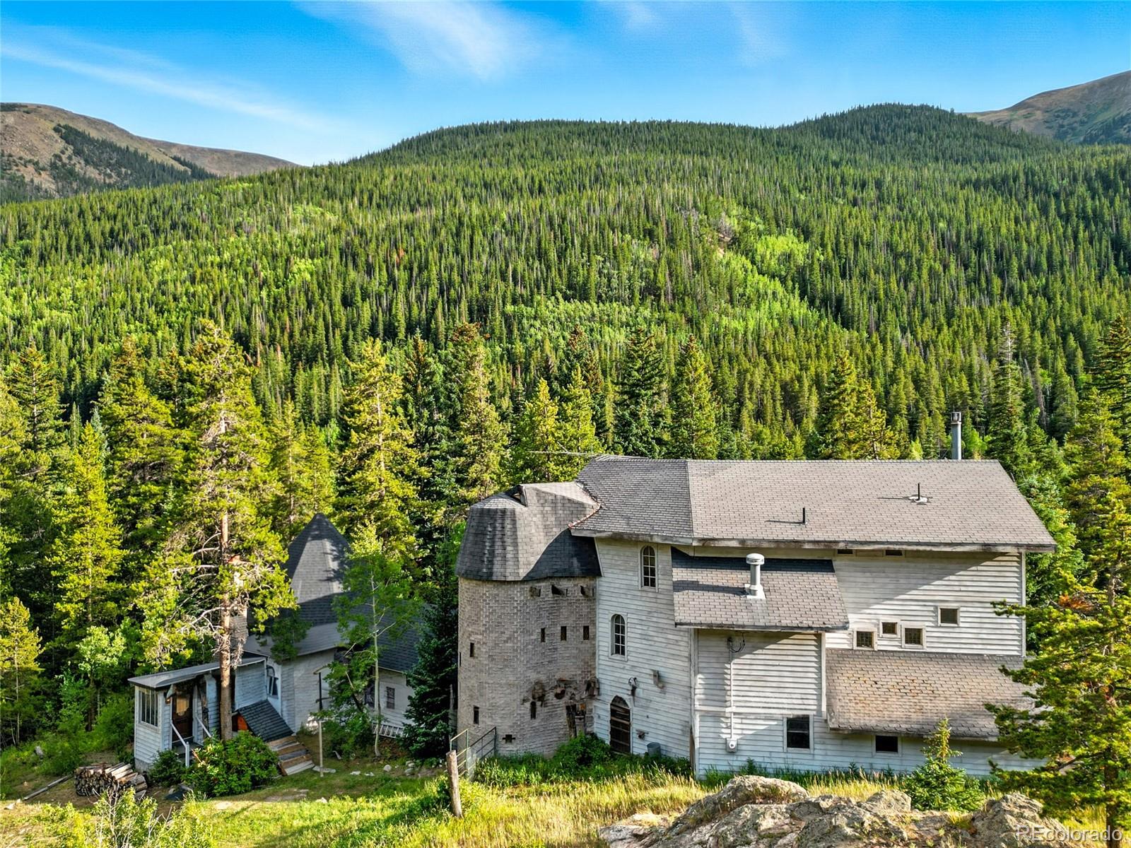 1493 Silver Valley Road Silver Plume CO 80476