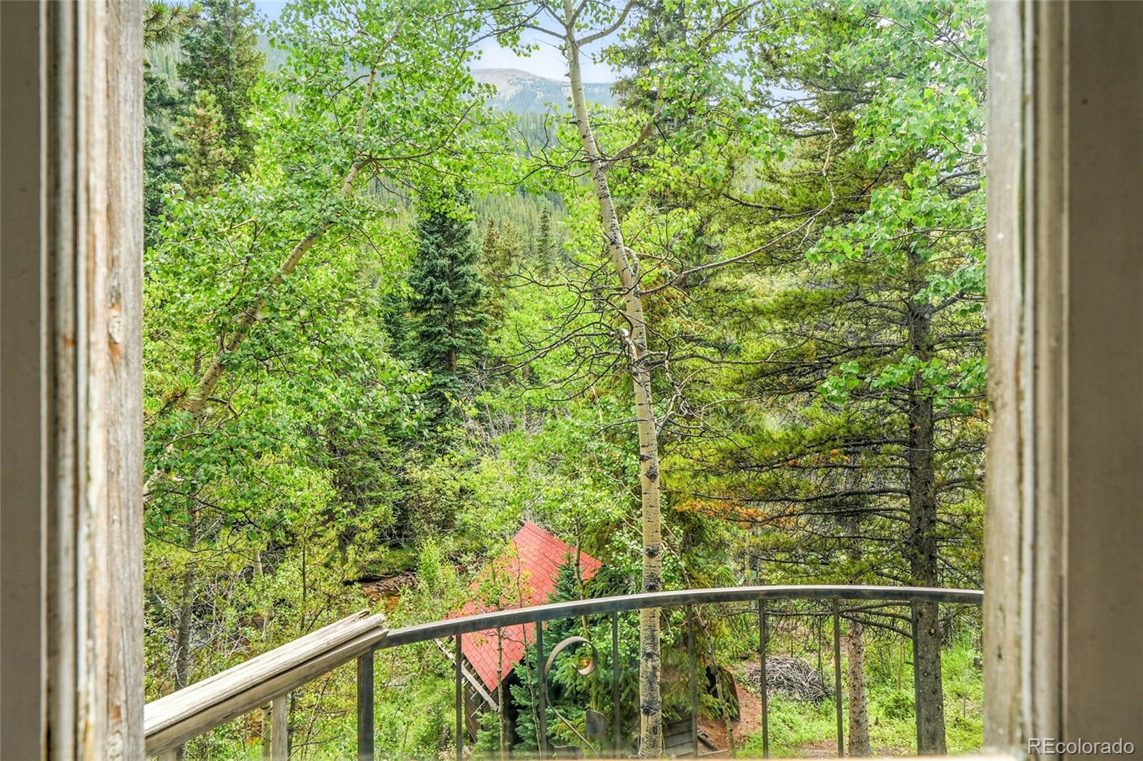 1493 Silver Valley Road Silver Plume CO 80476