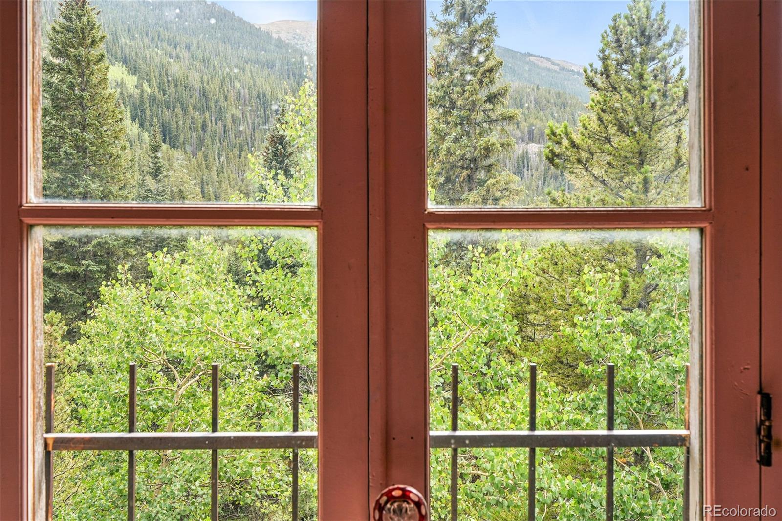 1493 Silver Valley Road Silver Plume CO 80476