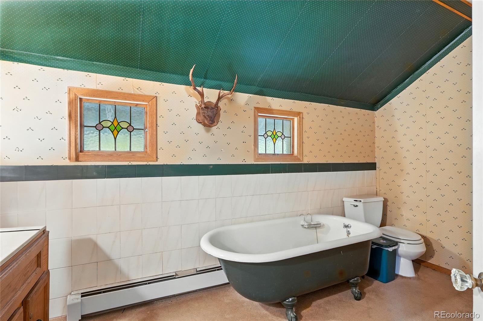 1493 Silver Valley Road Silver Plume CO 80476