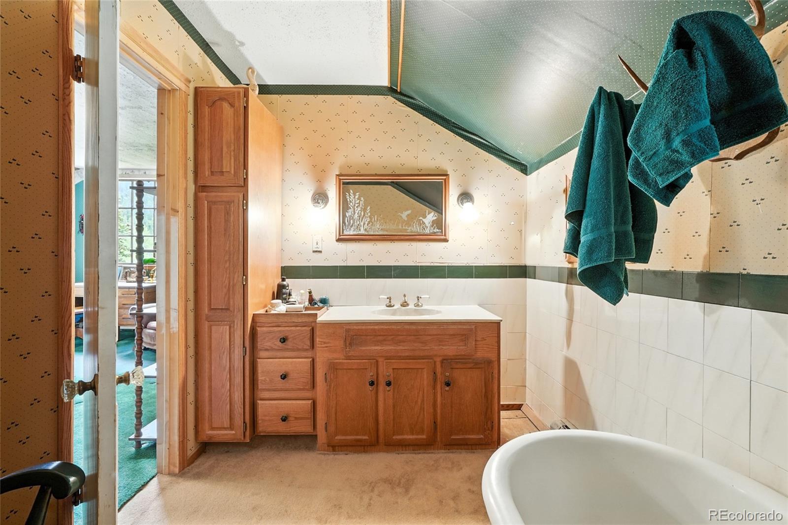 1493 Silver Valley Road Silver Plume CO 80476