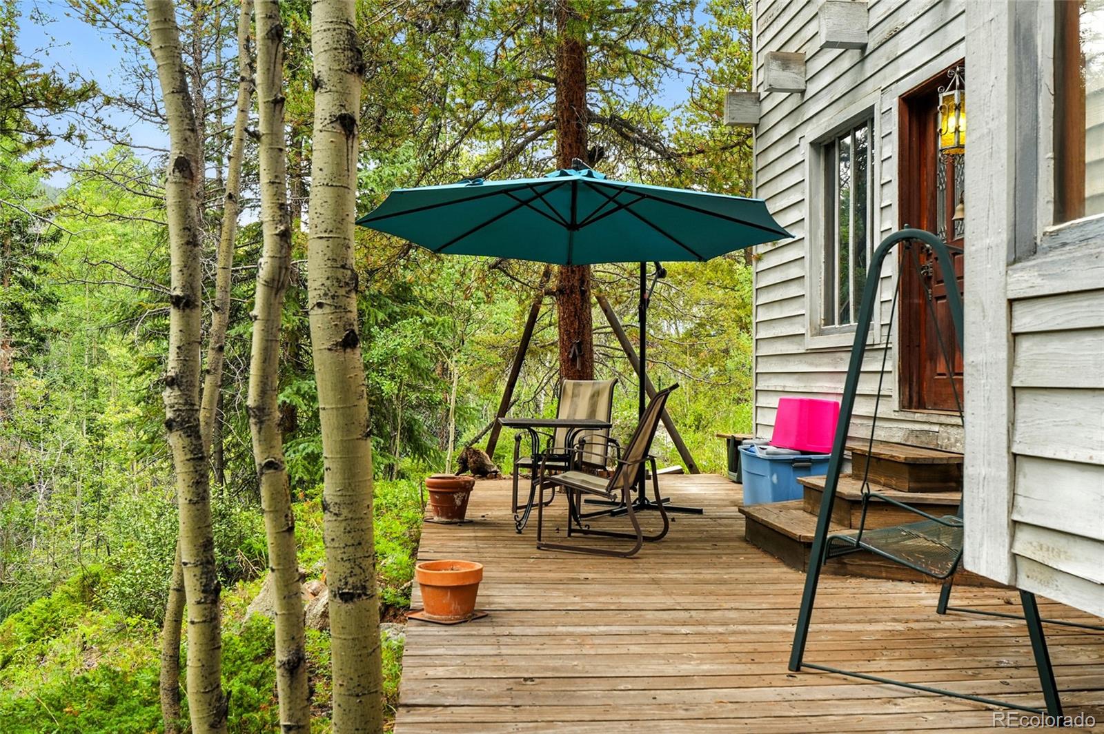 1493 Silver Valley Road Silver Plume CO 80476