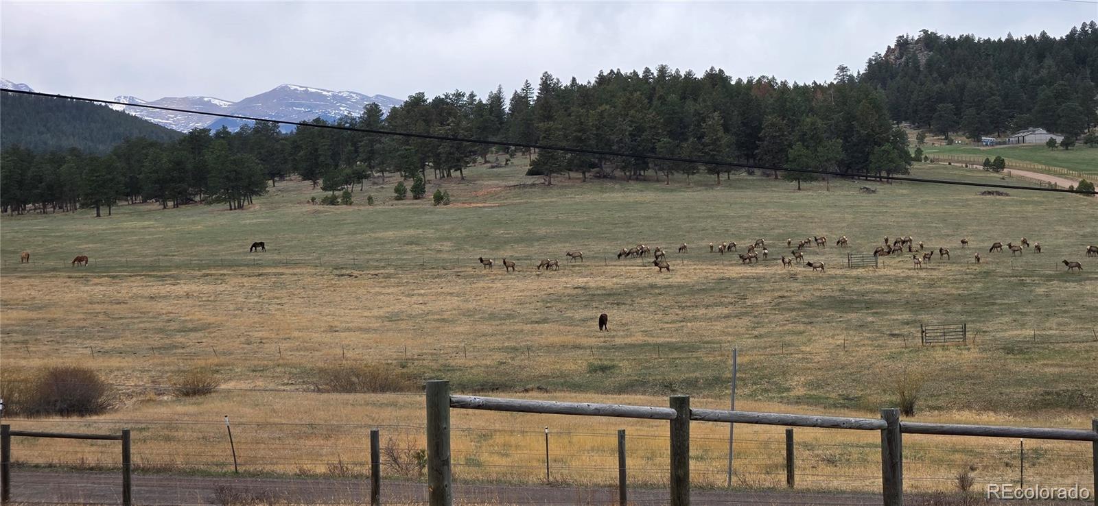 5981 Bluebell Lane Evergreen CO 80439