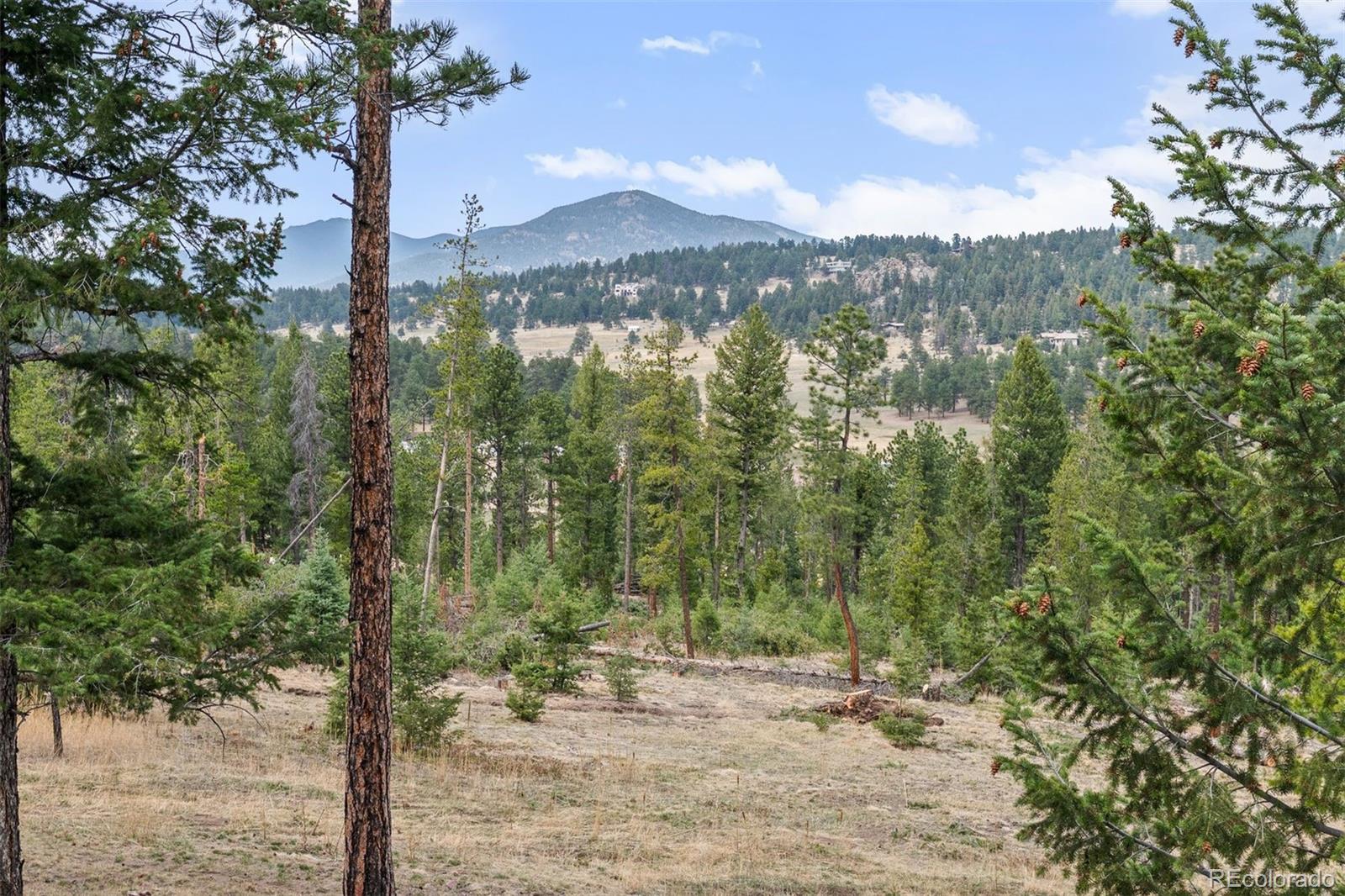 5981 Bluebell Lane Evergreen CO 80439