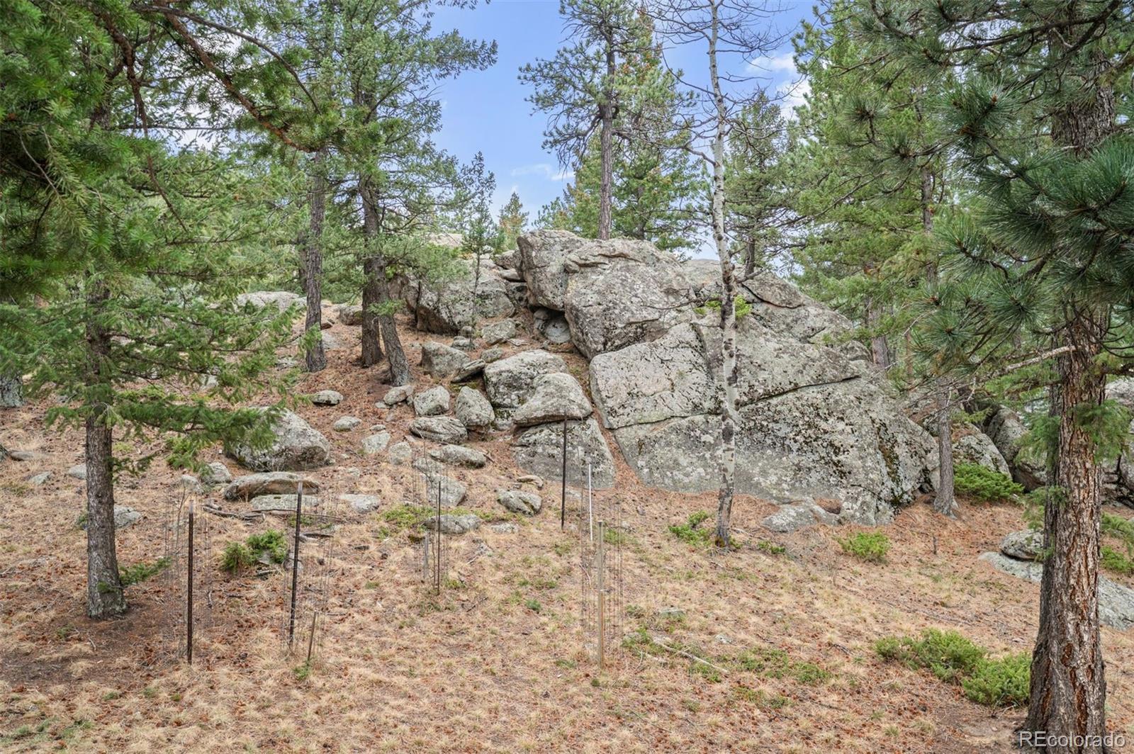 5981 Bluebell Lane Evergreen CO 80439
