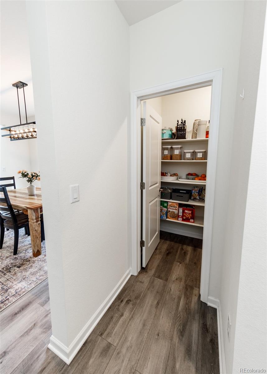 110 Kitselman Drive Castle Rock CO 80104