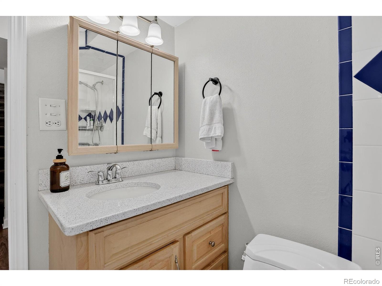 1027 Cottonwood Drive Windsor CO 80550