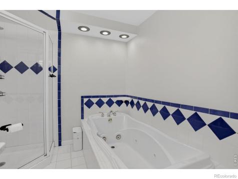 1027 Cottonwood Drive Windsor CO 80550