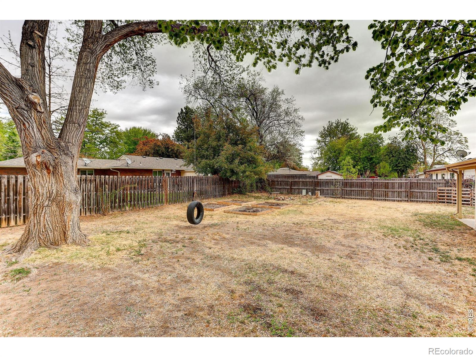 1027 Cottonwood Drive Windsor CO 80550