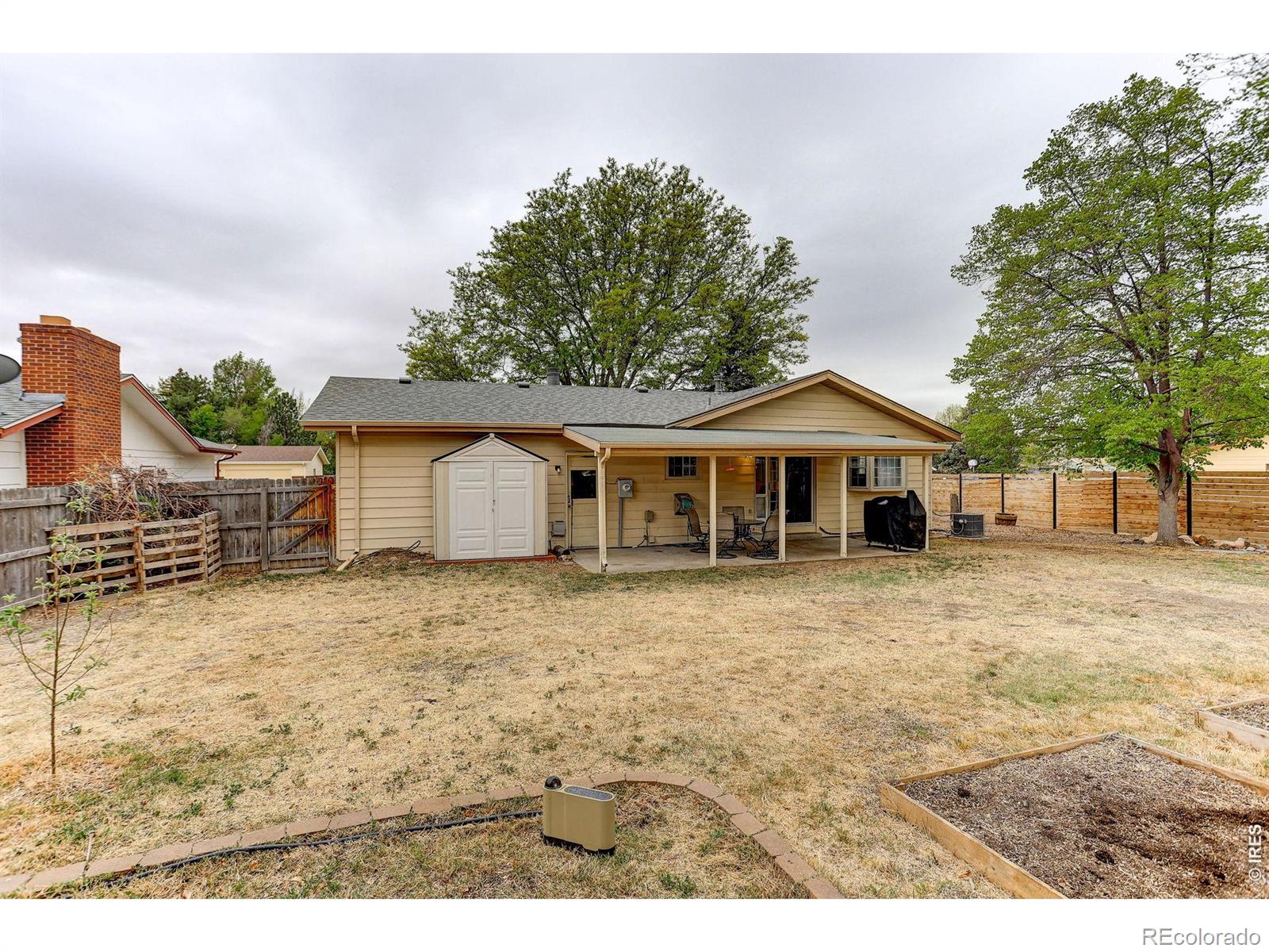 1027 Cottonwood Drive Windsor CO 80550