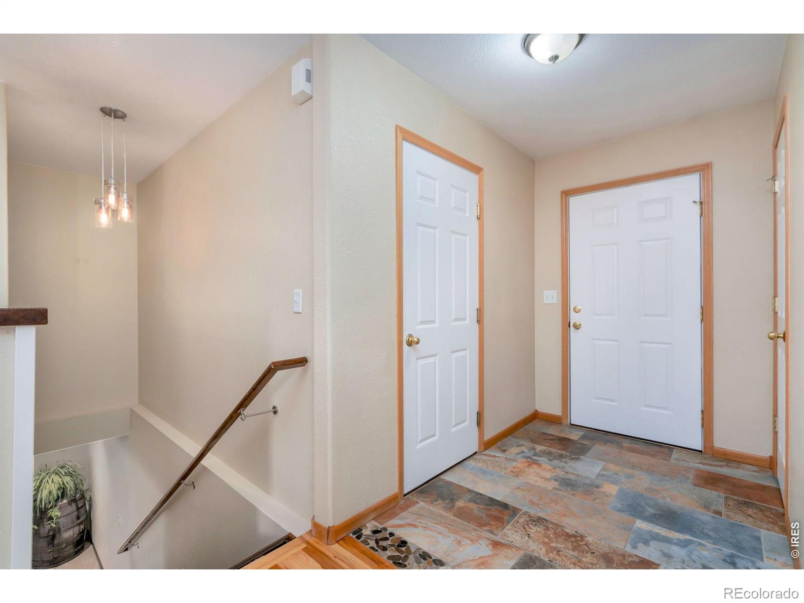 3779 Mount Meeker Street Wellington CO 80549