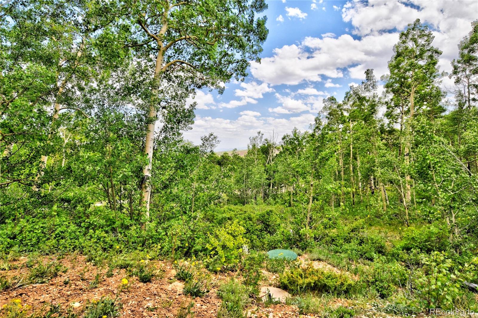 605 Lamb Mountain Road Fairplay CO 80440