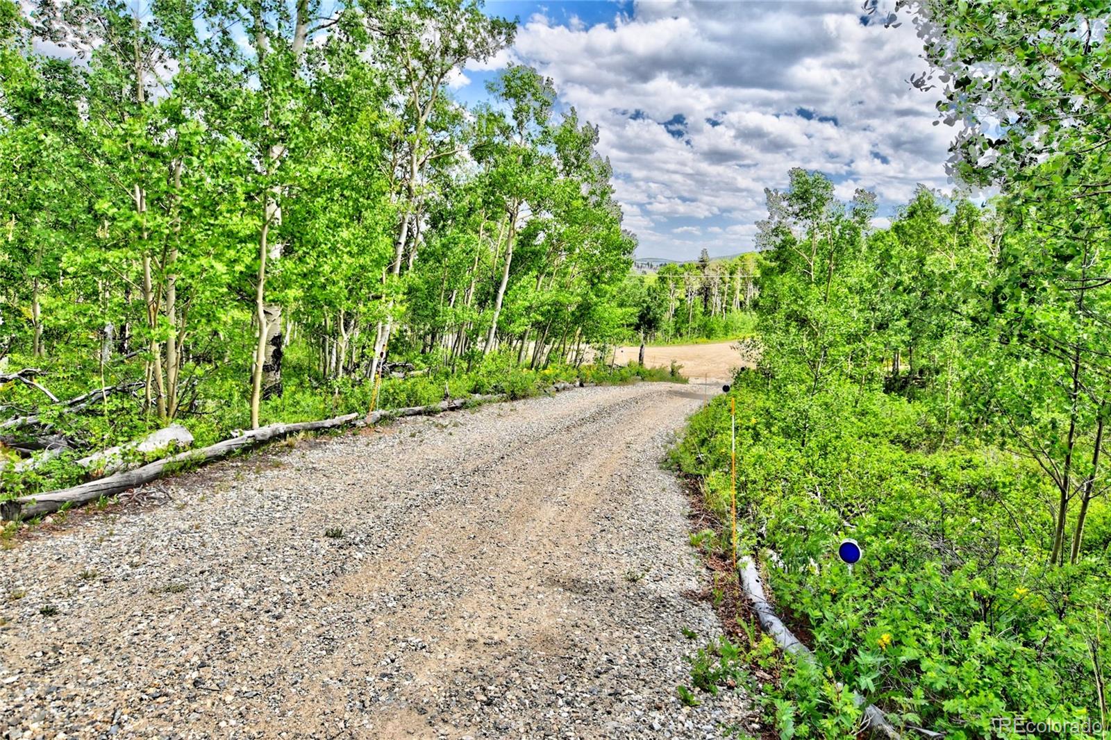 605 Lamb Mountain Road Fairplay CO 80440